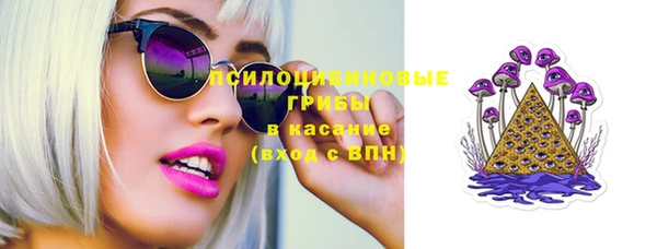 индика Магадан