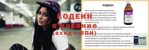 прущие грибы Медвежьегорск